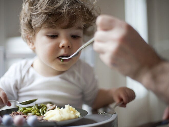 This toddler meal guide will help you understand how to feed your child. A child eating lunch according to the toddler meal guide